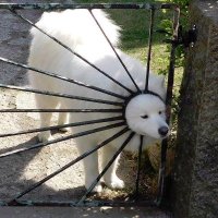 Jamie (@fuffels_) Twitter profile photo