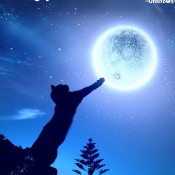 realheatha78's profile picture. ✌️❤️ 🎶🐱🌱