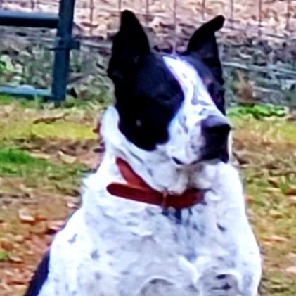 cherie_beene's profile picture. 