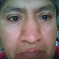 PIPE FREE (@pipe_free) 's Twitter Profile