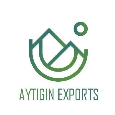 AYTIGIN EXPORTS