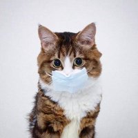 Maryam Alshanqiti (@imrym92) 's Twitter Profile