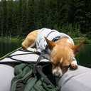 Andrea Gary Cheatham - @AGCthm - Twitter