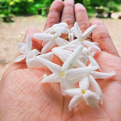 PratibhaPraka11's profile picture. Sois positif