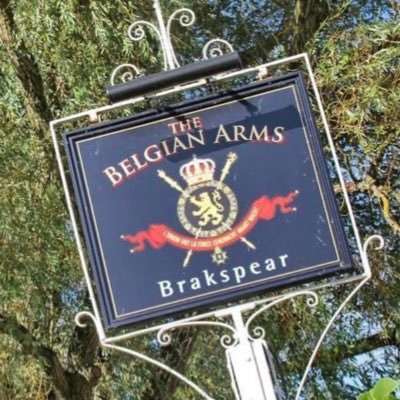 The Belgian Arms Profile