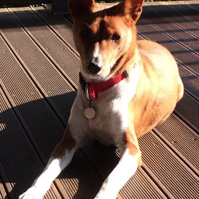 HeamonPena's profile picture. 