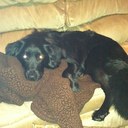 Allison Curley - @allicurl15 - Twitter