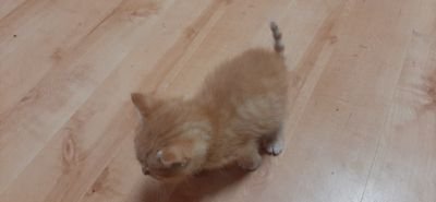 carrere_laure's profile picture. Je déteste le manichéisme. J'adore l'histoire tellement importante pour comprendre l'histoire présente. Toute histoire est contemporaine pour moi.