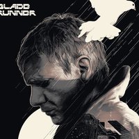 Blade runner 🇵🇱 (@blade____runner) 's Twitter Profile