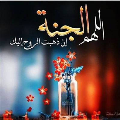 سامحني يالله اذا بكيَت على قضائُك و نفذّ صبرِي و ضاقْت نفسِي ,اللهّم انتٌ ربّي انت مُعيني خذ بيدي و كُن معي💜🦋
