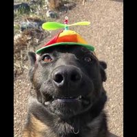 Bryn :) (@brynnnnn__) 's Twitter Profile