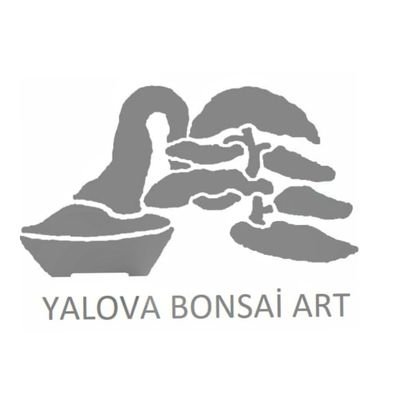Yalova da Ağaç Şekillendirme Sanatı Bonsai ile ilgilenmekte son 3 senedir de Şirket,topluluk ve gruplara Bonsai Sergisi, Kursu ve Seminerleri düzenlemekteyiz.