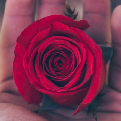 7nanqasem's profile picture. 