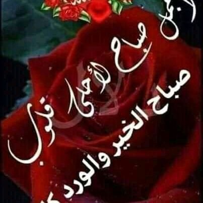 dwymLnUfADV3T5s's profile picture. كل شئ هالك الا وجهه