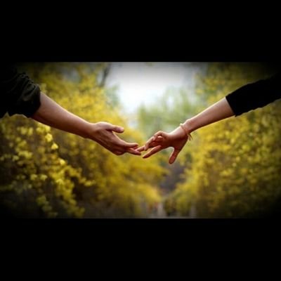 Rafael93058340's profile picture. 