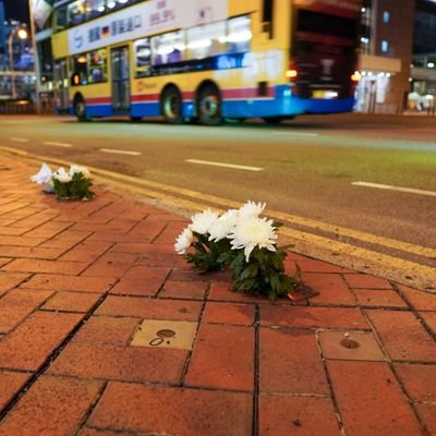 voke_hk's profile picture. like and RT ≠ endorsement.