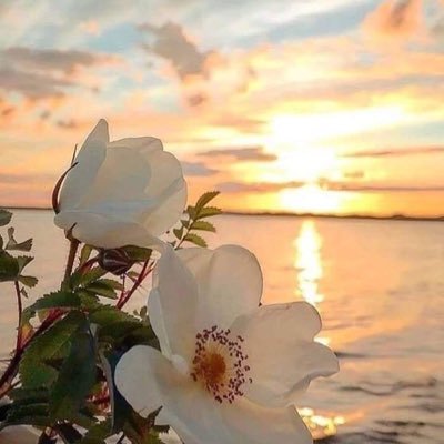 ayofaa's profile picture. 