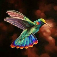 Hummingbird's Shadow (@hummingbird_75) 's Twitter Profile