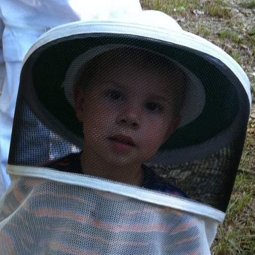 HawksHillHoney's profile picture. Pure raw honey from the nectar of the flowers and trees of the Potomac River valley.