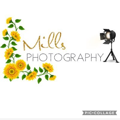 Check out my other media 
Facebook-Millsphotography
Instagram-Millsphotography9
Emails- millsphotography9@gmail.com