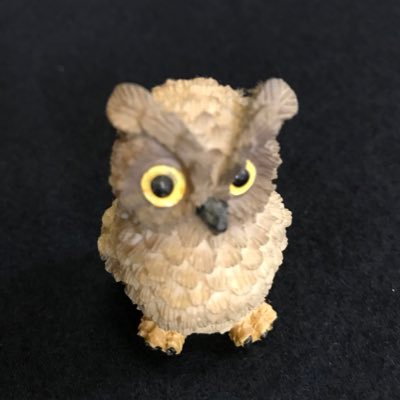 futabakokagerou's profile picture. 