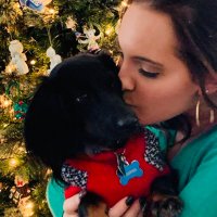 katie kolat (@k_k0lat) 's Twitter Profile