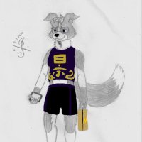 Gator the Border Collie (@douglasnerdwolf) 's Twitter Profile