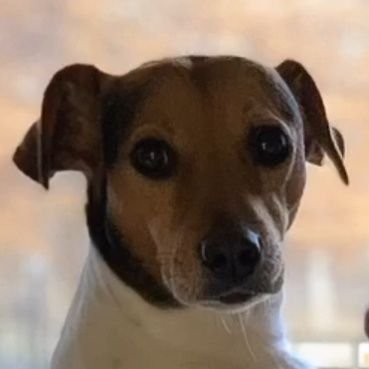 GaByTePpAz's profile picture. #EresMiVida, mi buena suerte, mi verdad, mi medicina 
Me hace tanto bien quererte