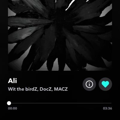 DocZ38685429's profile picture. I'm a musician that builds houses.