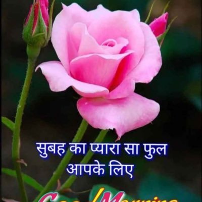 mahfooz76041574's profile picture. Khan