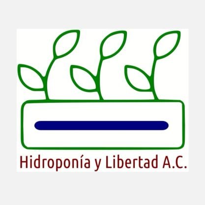 Organización de la Sociedad Civil #Hidroponia 💧 #MetabolismoUrbano🏙️🌄 #HuertoUrbano🥬🥕🍅#Sustentabilidad 🌱🐝 #ConsumeLocal 🏘️