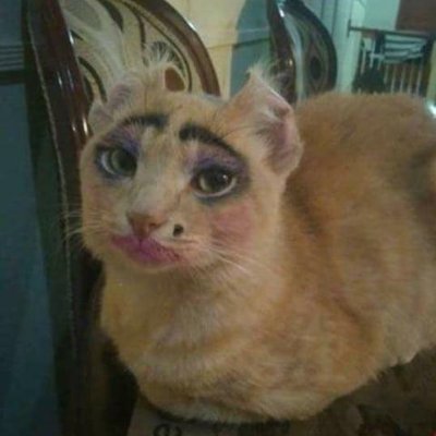 18
linguistics, worldbuilding, conlanging, magic systems, writing, graphs, and the like