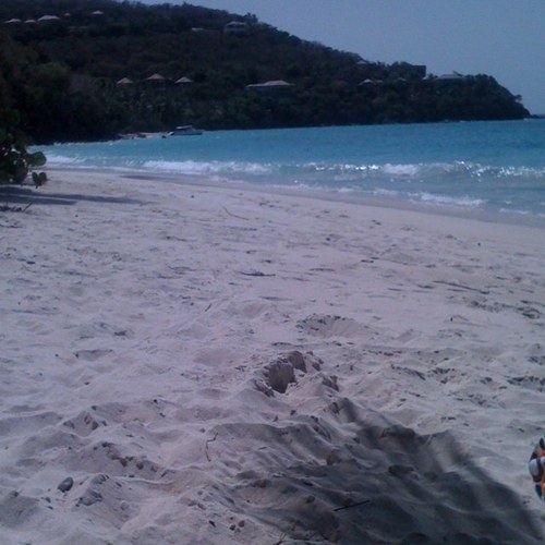 Jazitt's profile picture. 