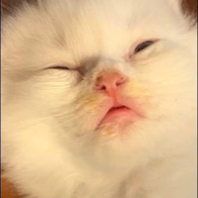 nutchanad's profile picture. non