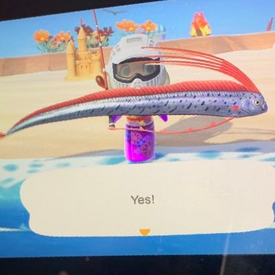 saltyjoc's profile picture. Is my animal crossing twitter now sorry