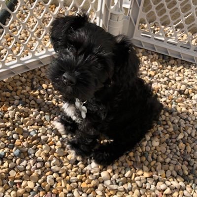 SchreyerTodd's profile picture. living and enjoying life!