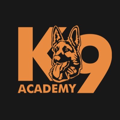 DOG TRAINING & CAGE FREE HOME BOARDING🐾 NORTH EAST’s Best Dog Training School • Dog Training & Rehab • CRECHE • Dog Gym • Trainer's Course • Therapy