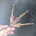 420flower🍁 (@420flower_) Twitter profile photo 420flower🍁 (@420flower_) Twitter profile photo