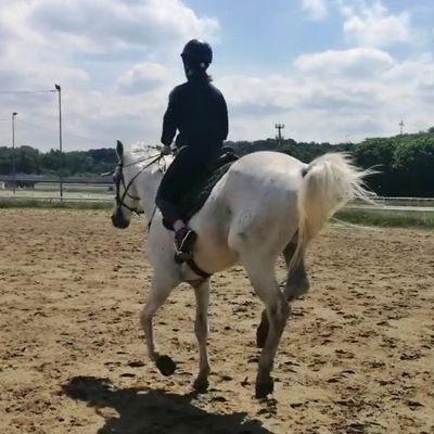 TamZeZe's profile picture. Svaštasvama gospođo