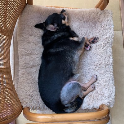 りょう Ryo Kurachi Twitter