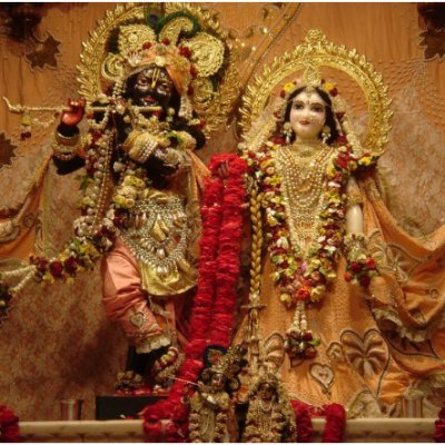 techtea22875408's profile picture. Nothing is special about me