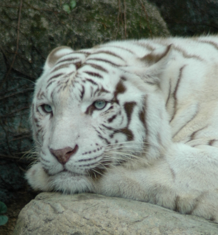 staplermaniac's profile picture. 