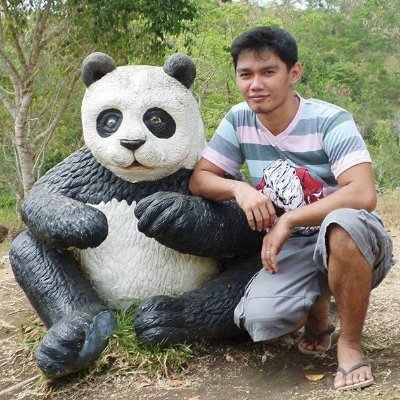 Erbamz102's profile picture. Philippines Pride