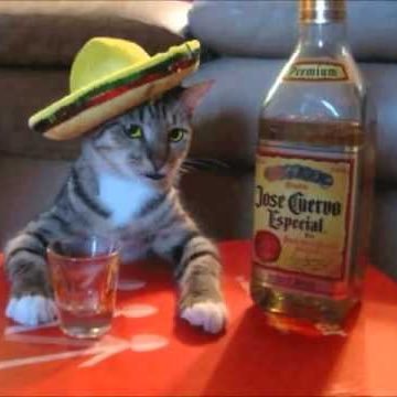 annieck12's profile picture. 