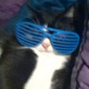 Emily Star Reed - @puffer8585 - Twitter