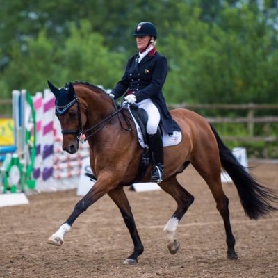 Carolyn Mellor currently competes two horses at Grand Prix and is a member of the Irish Hight Performance Squad. Also trains riders at all levels.