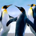 Mike Johnson - @Micky_Johnson - Twitter