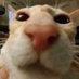 🏔️Thoko05🏔️ (@kaeregaard2) Twitter profile photo 🏔️Thoko05🏔️ (@kaeregaard2) Twitter profile photo