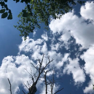 davidmysterfx's profile picture. FOREX Trader specializing in $EURUSD . Using known market levels to frame the market and create profitable trading opportunities.