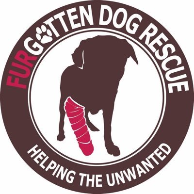 Our mission is to “help the unwanted.” We rescue dogs that are left behind in animal shelters due to their age, breed, appearance, or special needs.